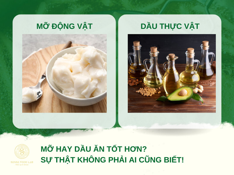 Mỡ Hay Dầu Ăn Tốt Hơn Sự Thật Không Phải Ai Cũng Biết!